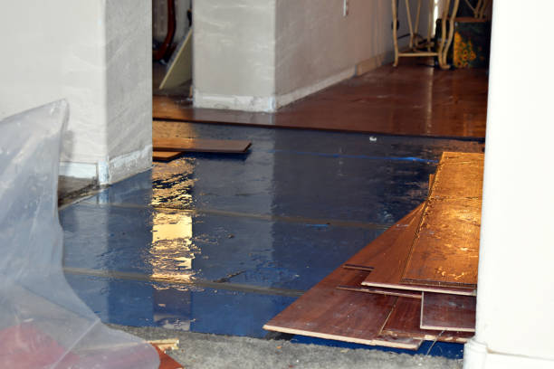 Professional Emergency Water Damage Restoration technician working in Trinity, TX